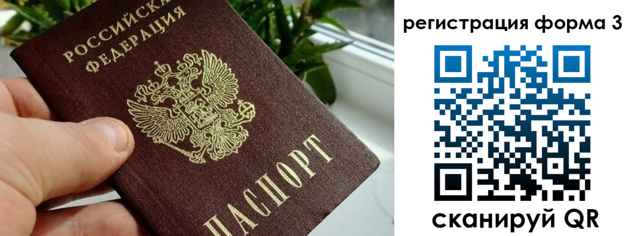 прописка штамп в Краснозаводске